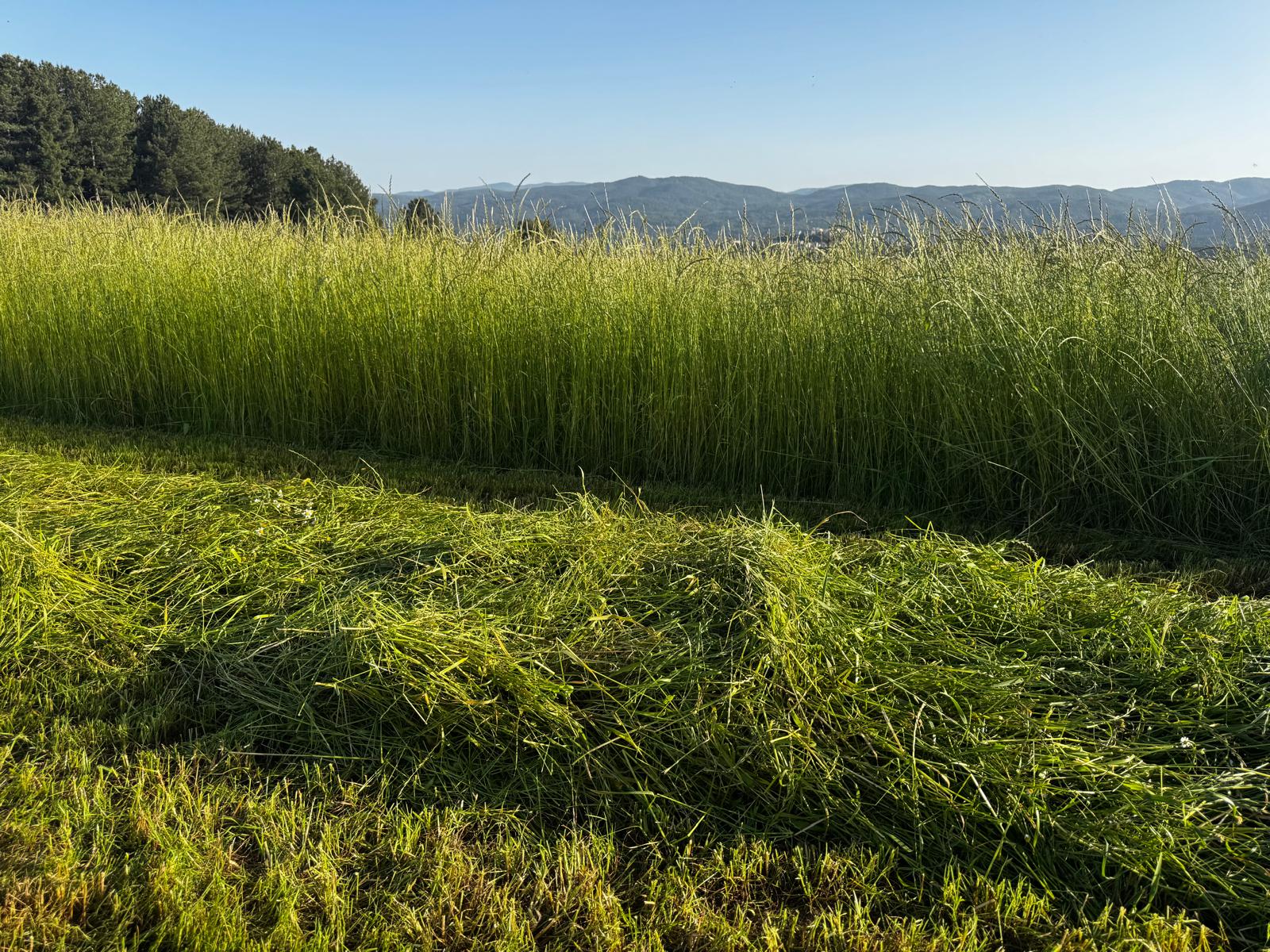 Operazioni di campo